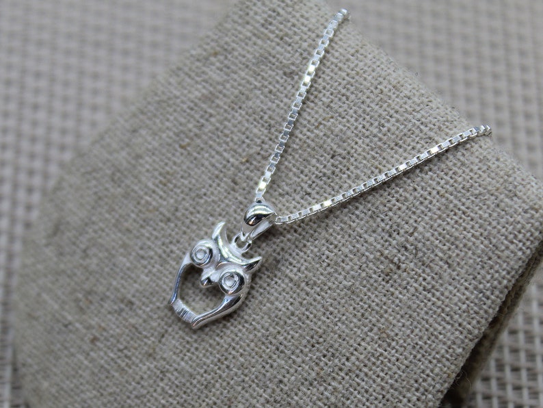 May include: A silver chain necklace with an owl pendant. The owl has two small, clear gemstones for eyes.