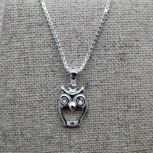 May include: A silver chain necklace with an owl pendant. The owl is detailed with round eyes and a beak.