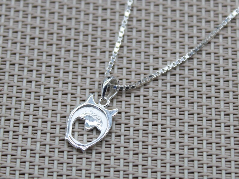 May include: Silver chain necklace with a silver owl pendant. The owl pendant has a cut-out design and is detailed with a small flower.