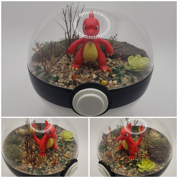 Charmeleon Poke'rarium 4in, Pokemon PokeBall Terrarium, with stand