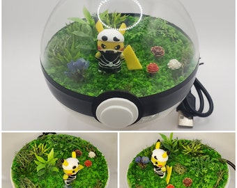 Tenue crâne de l'équipe Pikachu, Poke'rarium 4 pouces, avec LED, Pokémon PokeBall Terrarium, avec support. Télécommande multifonctionnelle avec pile incluse.