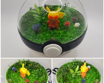 Tenue Pikachu Team Flare, Poke'rarium 4 pouces, avec LED, Pokemon PokeBall Terrarium, avec support. Télécommande multifonctionnelle avec pile incluse.