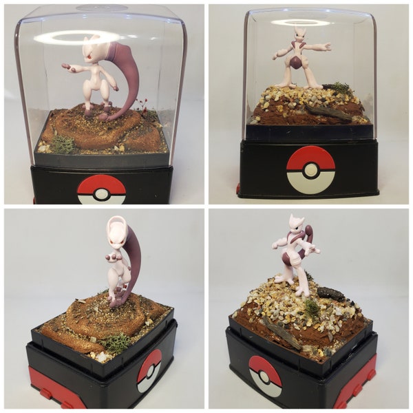 Mega Mewtwo X & Y Poke'rariums, Pokemon PokeBall Terrariums