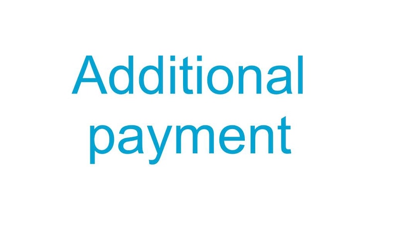 May include: The text Additional payment is displayed in a bright cyan blue sans-serif font against a plain white background. The words are stacked in two lines, with Additional on the top line and payment on the bottom line, centered.