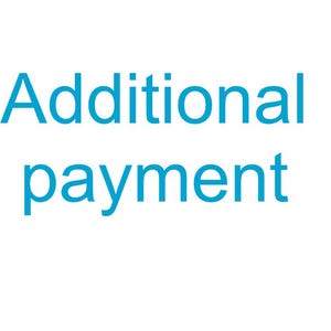 May include: The text Additional payment is displayed in a bright cyan blue sans-serif font against a plain white background. The words are stacked in two lines, with Additional on the top line and payment on the bottom line, centered.