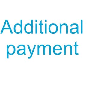 May include: The text Additional payment is displayed in a bright cyan blue sans-serif font against a plain white background. The words are stacked in two lines, with Additional on the top line and payment on the bottom line, centered.