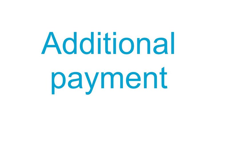 May include: The text Additional payment is displayed in a bright cyan blue sans-serif font against a plain white background. The words are stacked in two lines, with Additional on the top line and payment on the bottom line, centered.