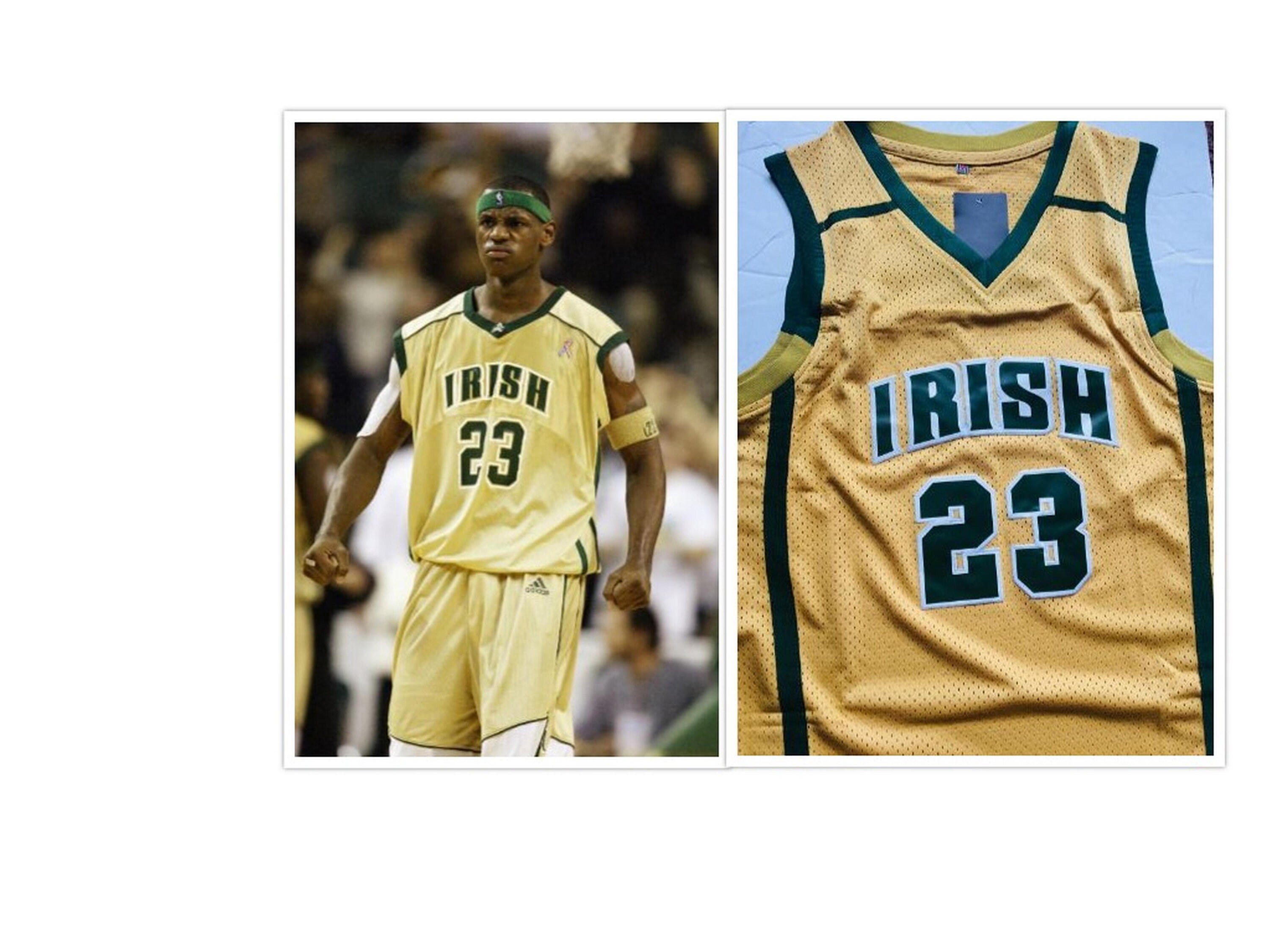 st vincent st mary lebron jersey