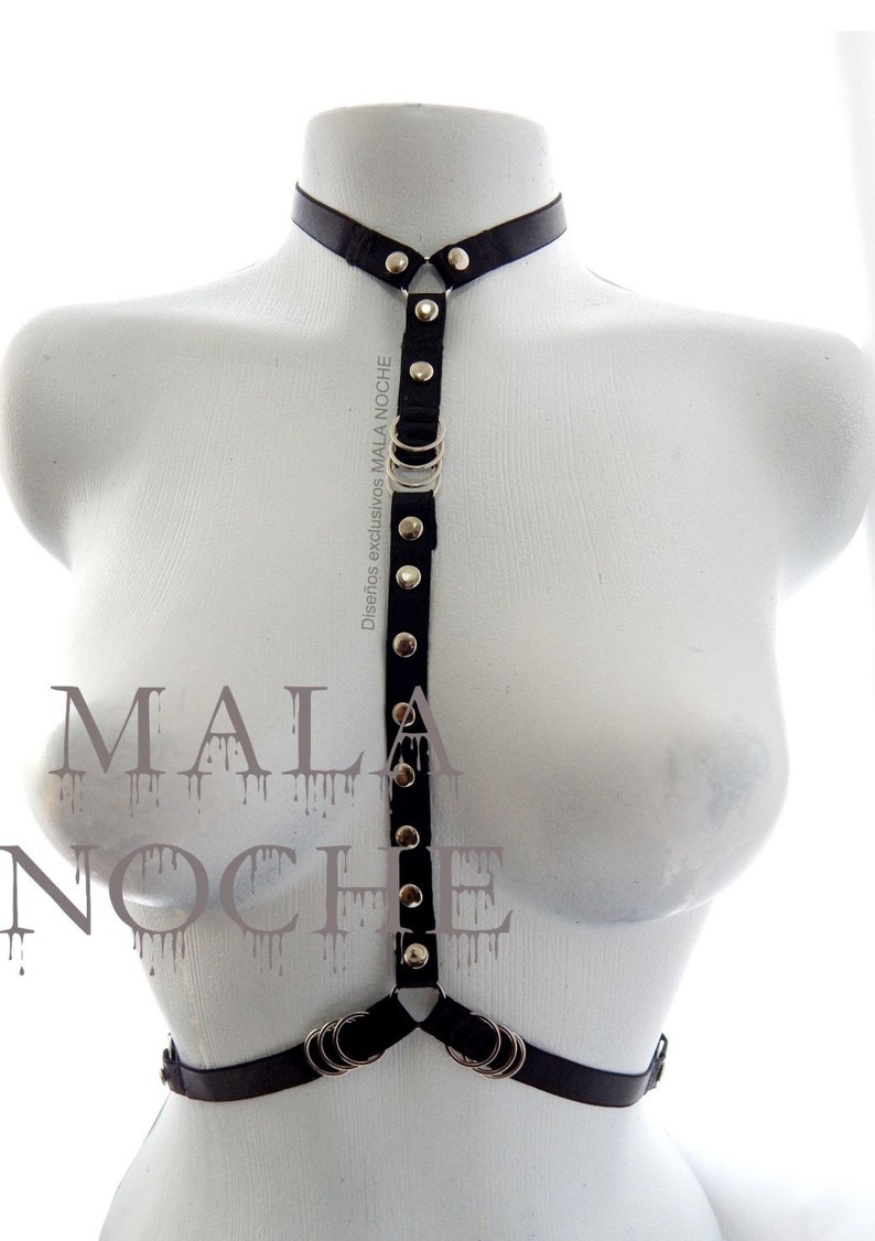 harness-bdsm-chto-eto