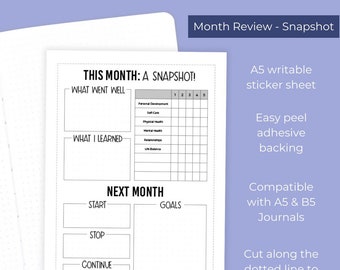Month Review 'Snapshot' Full Page Sticker Sheet - Large Journal Sticker - Monthly Review Planner Sticker