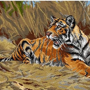 Könnte beinhalten: Nahaufnahme eines Tigers, der in hohem Gras liegt. Der Tiger hat orange und schwarze Streifen und schaut nach links. Der Mund des Tigers ist leicht geöffnet und zeigt seine Zähne.