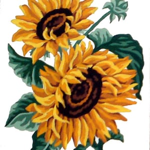 May include: Two bright yellow sunflowers with brown centers and green leaves. The sunflowers are facing the viewer and are in bloom.