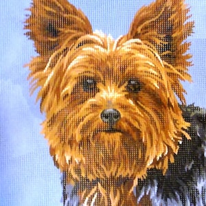 Printed Needlepoint Tapestry  Canvas Collection D&#39;art &quot;Yorkshire Terrier&quot;  10399