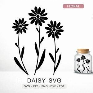 Daisy SVG | Garden Aster Flower Trio Cutting File for Cricut Silhouette Laser | Floral Vector png dxf pdf eps Digital Download