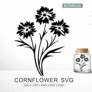 File SVG botanico di fiordaliso, file di taglio floreale di fiori selvatici per Cricut, Silhouette e laser, formato png, dxf, eps, pdf, download digitale.