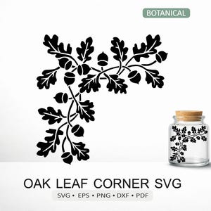 Coin gland feuille de chêne SVG | Fichier de découpe de cadre botanique pour Cricut, Silhouette et laser | pdf eps png dxf téléchargement numérique