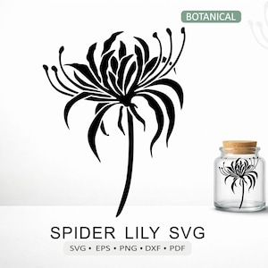 Spider Lily Png - Etsy
