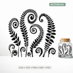 Borde de helechos Fiddlehead SVG / Vector de brotes de helecho avestruz botánico para Cricut, Silhouette y láser / dxf pdf png eps Descarga digital