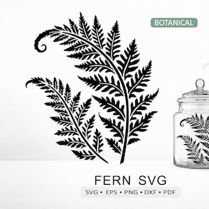 Può includere: Una silhouette nera di due fronde di felce con foglie dettagliate. Il design è etichettato BOTANICAL e FERN SVG con i formati file SVG, EPS, PNG, DXF e PDF elencati sotto. Un barattolo di vetro trasparente presenta la stessa grafica.