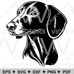 Dachshund Face Doxie Dog Head Vector Line Cutting File, Vinyl and Laser, Cricut, Silhouette, SVG, pdf, eps, png, dxf Digital Download