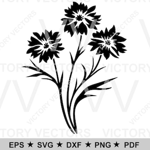 Archivo vectorial floral de acianos para cortar, vinilo, láser, SVG, Cricut, silueta, Glowforge dxf pdf eps png Stencil Ready, descarga digital
