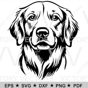Golden retriever gezicht hond hoofd vector lijnbestand voor snijden, vinyl, laser, Cricut, silhouet, SVG, pdf, eps, png, dxf digitale download