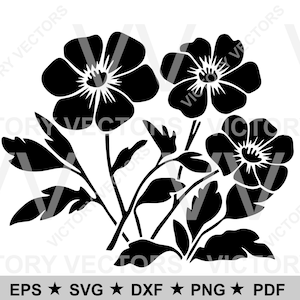 Archivo de corte de línea vectorial de flores silvestres de ranúnculo para vinilo, láser, Cricut, silueta, plantilla lista, SVG cnc dxf pdf eps png Descarga digital