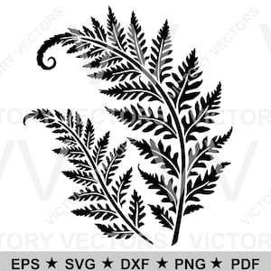 Feuilles de fougère vecteur ligne fichier de découpe pour vinyle laser SVG Cricut Silhouette clipart dxf pdf eps png pochoir prêt en téléchargement numérique