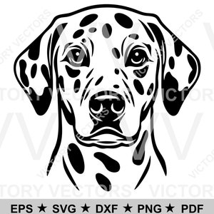 以下が含まれることがあります： ダルメシアンの頭の白黒イラスト。犬は斑点のある毛皮を着ており、直接視聴者を見つめています。