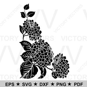 Hydrangea Corner Flower Heads Vector File for Cutting, Vinyl, Laser,  SVG Cricut, Silhouette eps dxf pdf png Stencil Ready, Digital Download