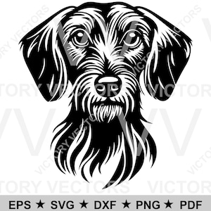 May include: Black and white silhouette of a dog's head. The dog has a long snout and floppy ears. The dog is looking directly at the viewer.