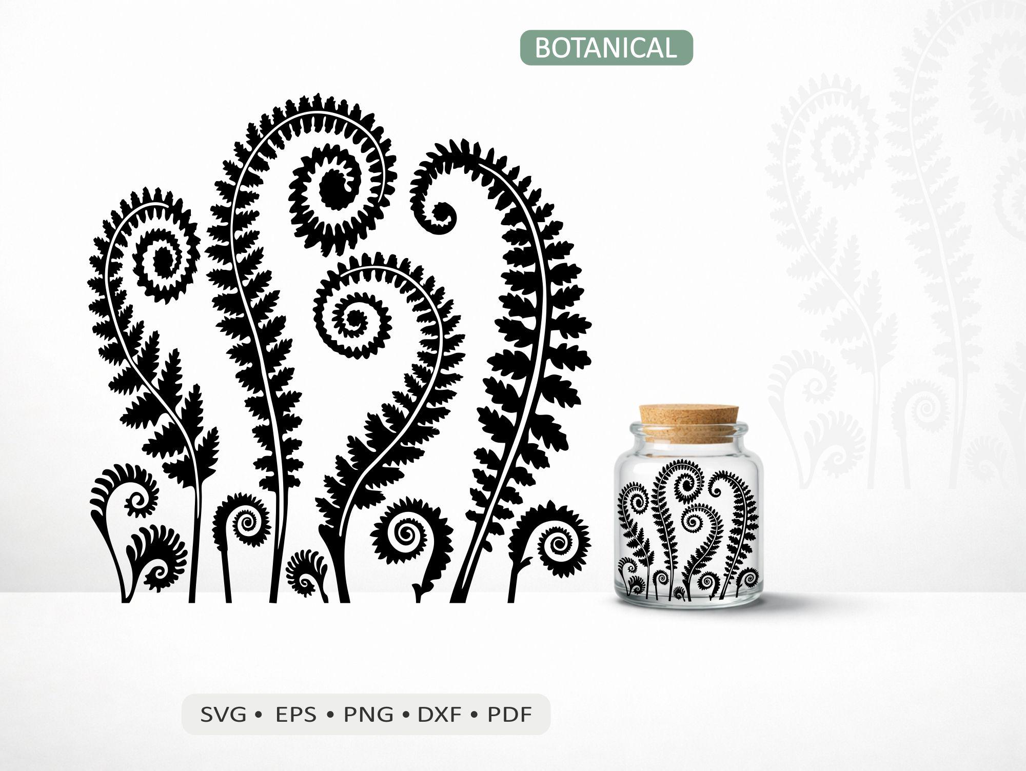 Fiddlehead Vector Fiddlehead Fern Border SVG | Botanical Ostrich Fern Shoots Vector for ...