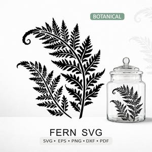 File SVG di felce / Fogliame botanico per taglio, compatibile con Cricut, Silhouette e incisione laser / download digitale in formato dxf, eps, pdf e png