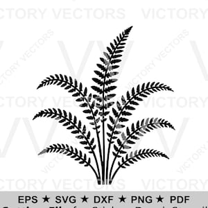 Peut inclure: Silhouette noire d'une fougère. L'image présente une illustration détaillée d'une plante de fougère, idéale pour les autocollants, décalcomanies ou pochoirs. Le texte en bas indique les formats de fichiers disponibles : EPS, SVG, DXF, PNG et PDF.