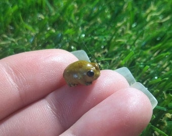 Miniature Frog - Frog - Miniature - Fairy garden - Fairy Garden Frog - Resin