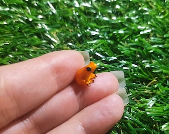 Miniature Frog - Frog - Orange Frog - Miniature - Fairy garden - Fairy Garden Frog - Resin