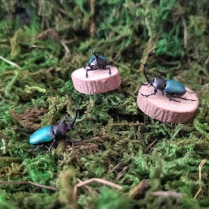 Scarabée miniature - Scarabée - insecte miniature - Figurines miniatures - Jardin de fées - Résine