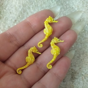 Miniature Seahorse - Seahorse - Miniature - Fairy garden - Fairy Garden Seahorse