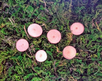 May include: Six pink wooden circles with a natural wood grain pattern, arranged on a bed of green moss.