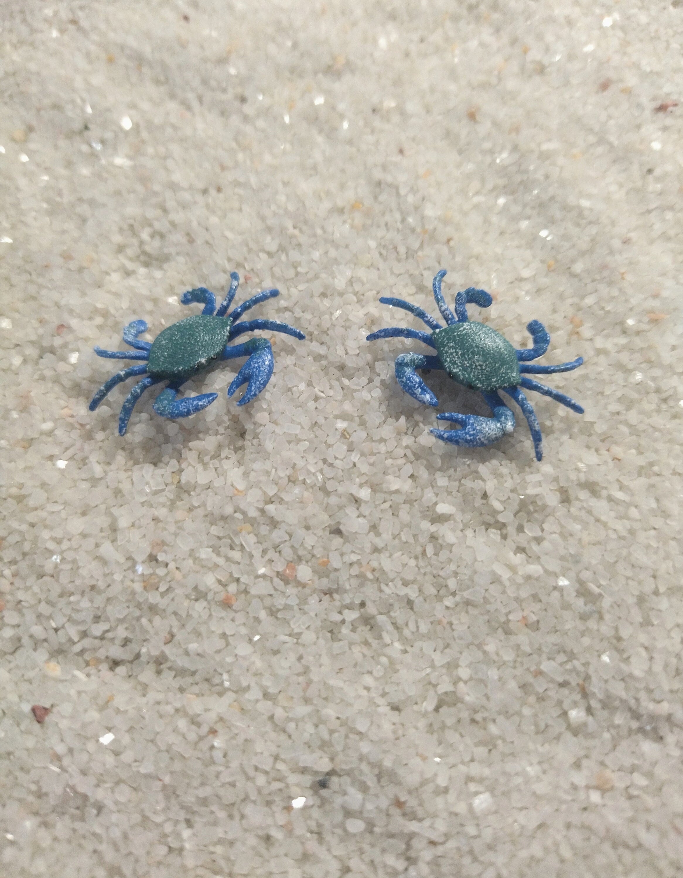 Small Crab カニミニチュア