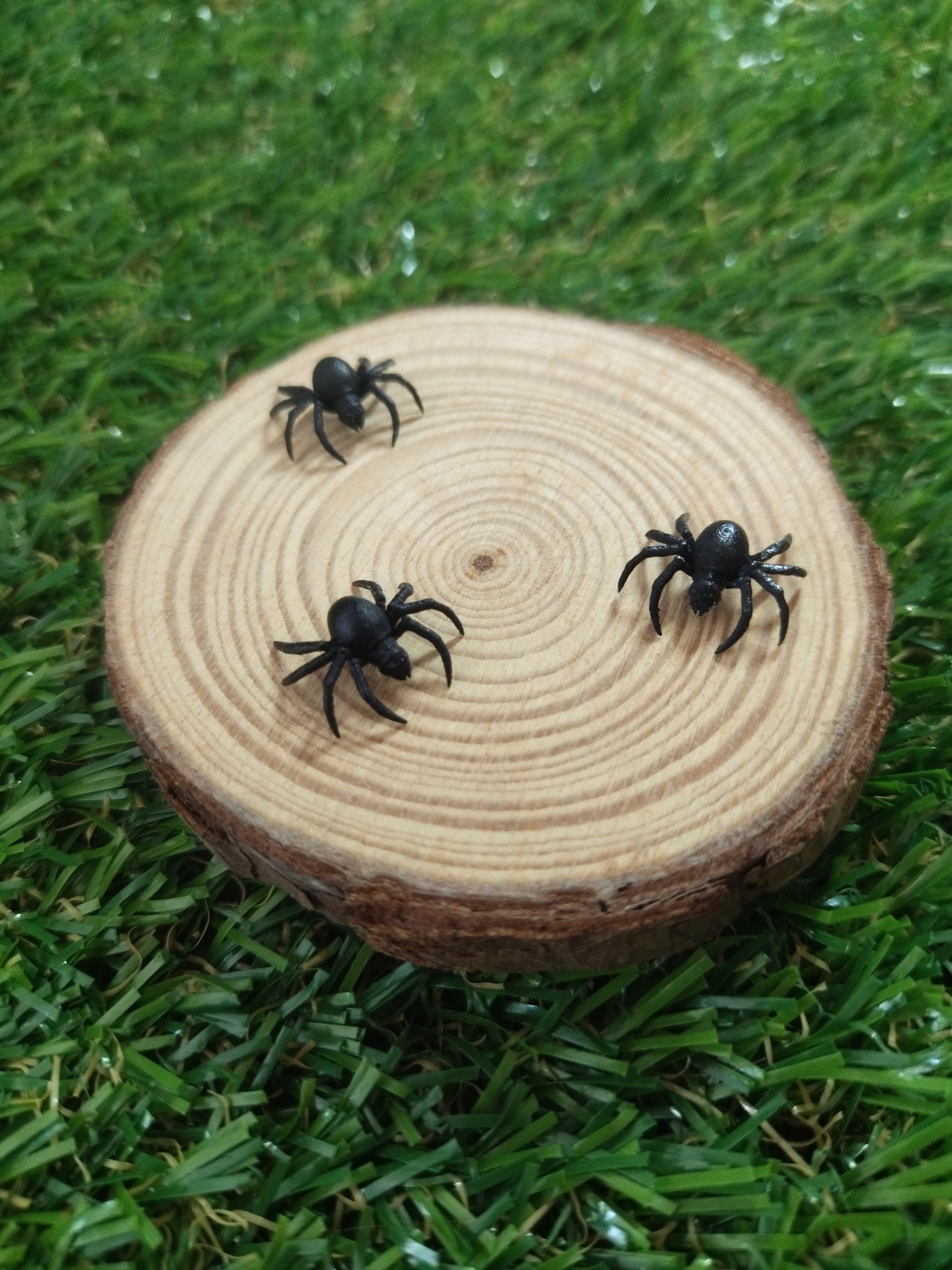 Miniature Spider - Spiders - Miniature - Fairy garden - Fairy Garden spider - Resin