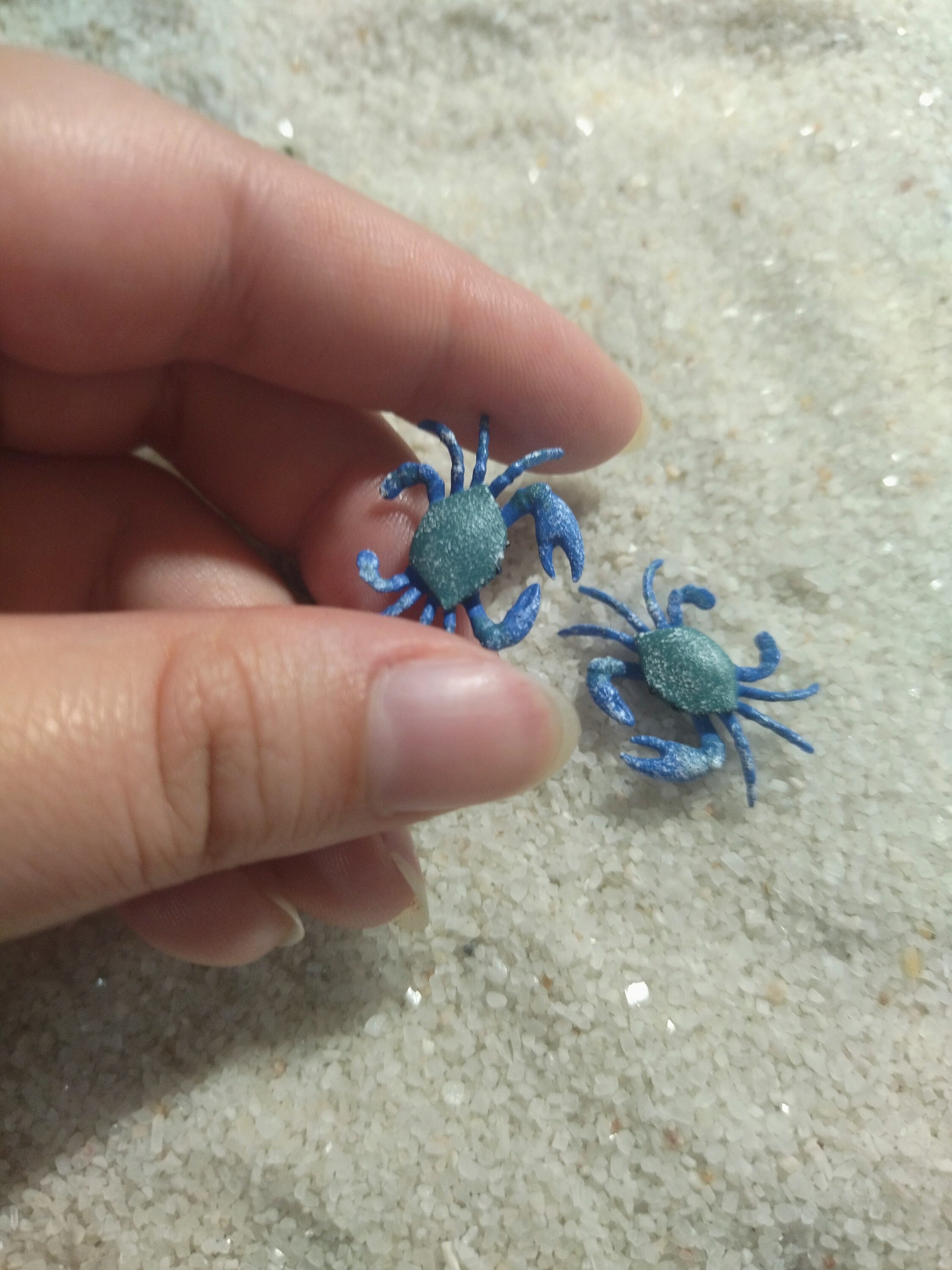 Miniature Crab - Crab - Miniature - Fairy Garden - Fairy Garden
