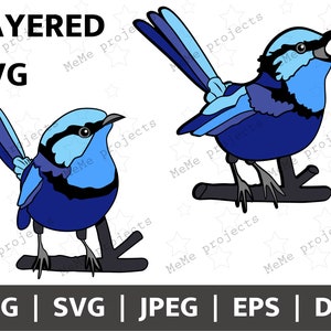 Blauer Zaunkönig SVG Bundle: Australischer Ureinwohner Vogel (Digitaler Download)
