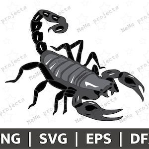 Australian Scorpion | Scorpion Cricut | Scorpion SVG | Australian Scorpion DFX | Scorpion Horoscope | Scorpion PNG | Black Scorpion