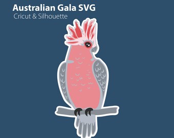 Galah SVG | Australian Bird Clipart (Digital Download)