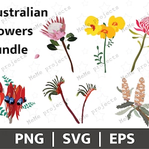 Pacchetto fiori australiani / Fiori selvatici SVG png / Fiori australiani SVG / Pacchetto flora australiana / SVG nativi australiani / Pacchetto fiori selvatici