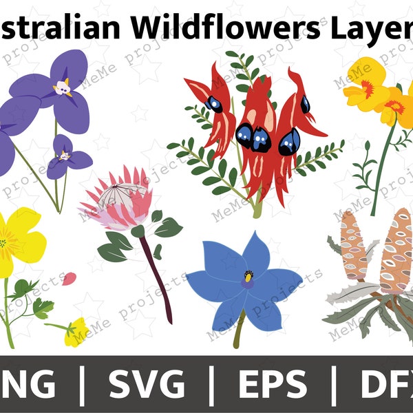 Australian Flowers Layered Bundle | Cricuit & Silhouette | Wildflowers SVG | Australian Flora PNG | Aussie Flowers | Australian Native Pack