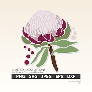 Australian Protea | Protea Cricut | Protea SVG | Australian Flora Svg | Australian Flowers | Protea PNG | Wildflowers | Protea Clipart