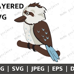 Australian Laughing Kookaburra | Kookaburra Cricut and Silhouette | Kookaburra SVG | Australian Animals | Cute Animals | Kookaburras PNG