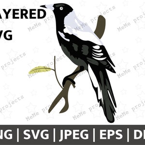 Pie australienne | Pie pour Cricut et Silhouette | Pie SVG PNG DFX | Animaux australiens | Oiseaux australiens | Pie | Pie Clipart